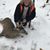 Toni Chaput Powling's profile image