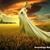 Vicki Lynne's profile image