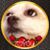 Diane Lowery's profile image