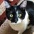 Louayne Gates's profile image