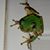 Robin Daniels Helman's profile image