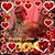 Machelle Boll Kelley Coddington's profile image