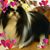 Pam Miya's profile image