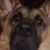 Patricia Elizabeth Szutienko's profile image