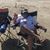 Laura Flores's profile image