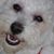 Bill Miller's profile image