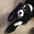 Sondra Espenlaub's profile image