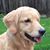Sally Keenan's profile image