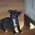 Jodi Schmidt's profile image