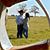 Sarah Lilley-Vaught's profile image