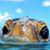 Martina Cheesman Mathis's profile image