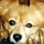 Preston Gerard Nicholas LeFrere's profile image