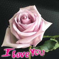 Tam Albie's profile image