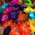Linda Grandominico's profile image