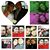Marco A Chavez's profile image