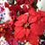 Fay LaFrance's profile image