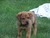 Pam C.'s profile image