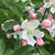 Karen Stueve's profile image
