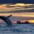 Betty Lanning's profile image