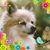 Jon Alva Murphy's profile image