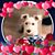 Sharon Daley's profile image