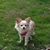 Elaine Riley's profile image