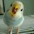 Rebecca Jackson's profile image