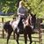 Ronanne Dillard Morrow's profile image