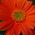 Nancy Helderlein-Beck Martin's profile image