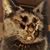 Carolyn Steiner's profile image