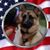 John Nowik's profile image