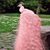 Deborah McBeth Glover's profile image