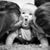 Aqsa Ashraf's profile image