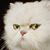 Denese McIntyre Bass's profile image