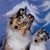 Chris N Maria Gesing's profile image