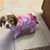 Sheri Carter's profile image