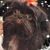 Melinda Williams Wood's profile image
