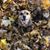 Sharon Kincaid's profile image