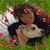 Julie Harmon's profile image