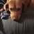Nancy Yackey's profile image