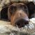 Kim Claycomb's profile image