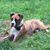 Julie Yadon's profile image