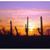 Carmen M Salcido's profile image
