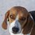 Judy Ybarra's profile image