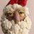 Terry Whitten's profile image