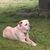 Michelle Kohl Rinehart's profile image