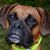 Teresa Endsley Burdick's profile image