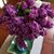 Jan Siglar Gill's profile image