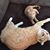 Donna Riebe's profile image