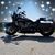 Samantha Schroeder's profile image